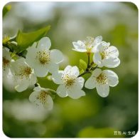 为什么要进行病虫害的调查统计,为什么要进行病虫害的调查统计工作