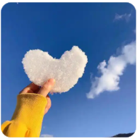 为什么要进行病虫害的调查统计,为什么要进行病虫害的调查统计工作