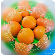 防治害虫的三种方法有哪些呢,防治害虫的新方法