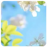为什么要进行病虫害的调查统计,为什么要进行病虫害的调查统计工作