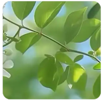 为什么要进行病虫害的调查统计,为什么要进行病虫害的调查统计工作