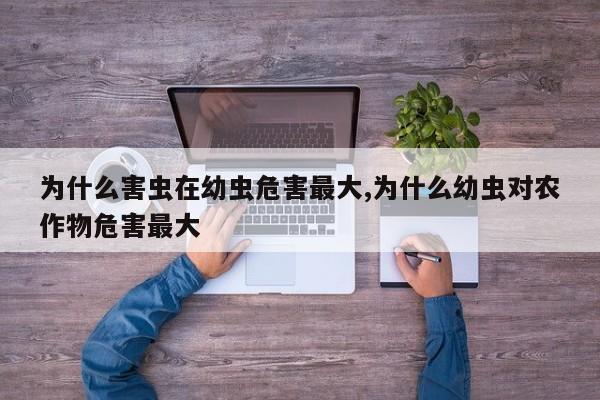为什么害虫在幼虫危害最大,为什么幼虫对农作物危害最大