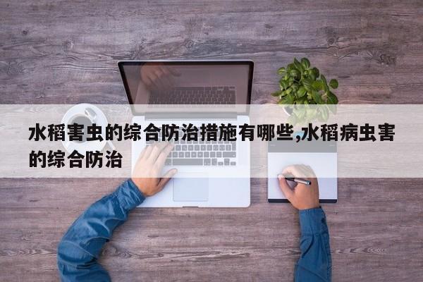 水稻害虫的综合防治措施有哪些,水稻病虫害的综合防治