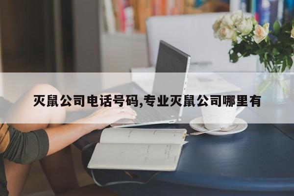 灭鼠公司电话号码,专业灭鼠公司哪里有