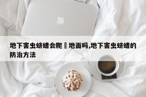 地下害虫蛴螬会爬岀地面吗,地下害虫蛴螬的防治方法